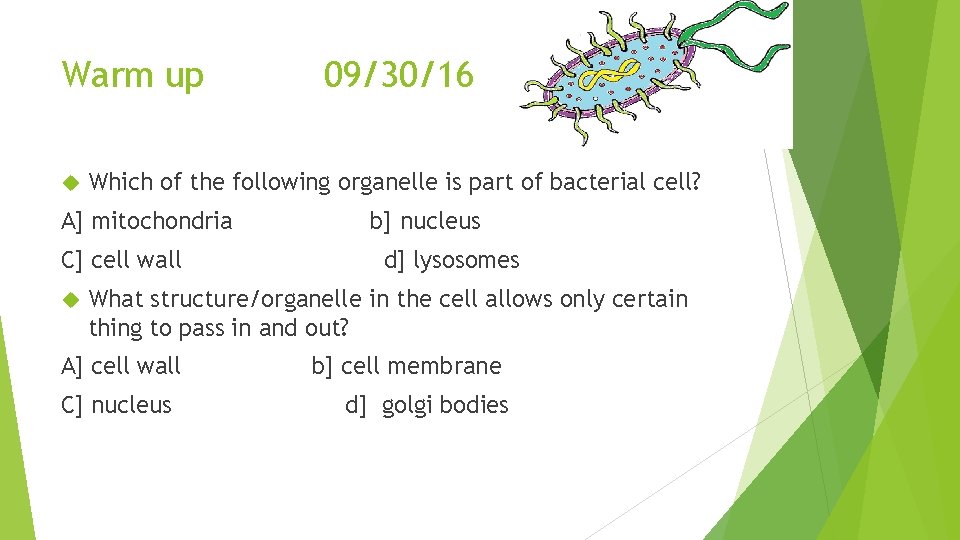 Warm up Which of the following organelle is part of bacterial cell? A] mitochondria