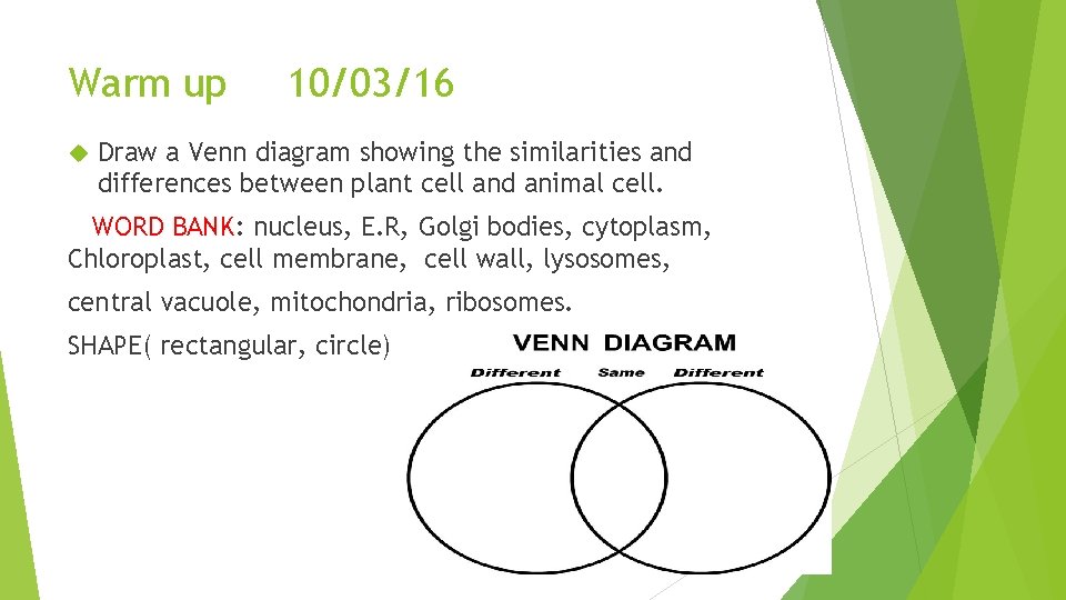 Warm up 10/03/16 Draw a Venn diagram showing the similarities and differences between plant