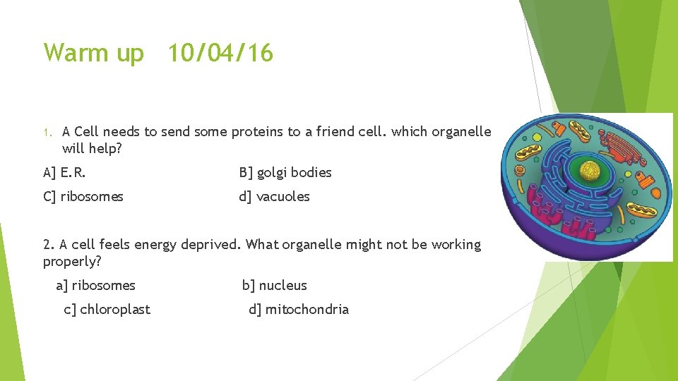 Warm up 10/04/16 1. A Cell needs to send some proteins to a friend