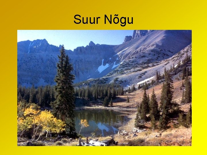 Suur Nõgu 