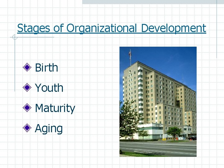 Stages of Organizational Development Birth Youth Maturity Aging 