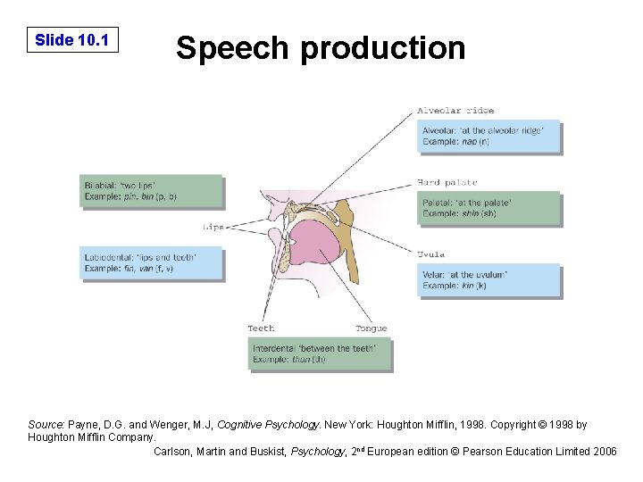 Slide 10. 1 Speech production Source: Payne, D. G. and Wenger, M. J, Cognitive