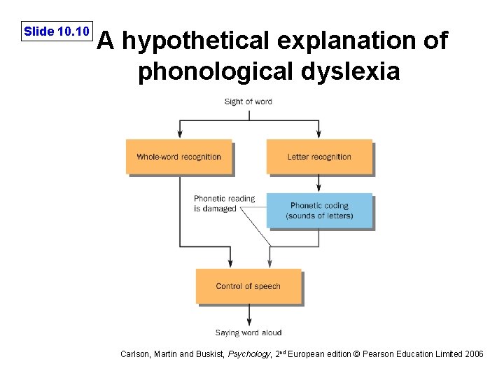 Slide 10. 10 A hypothetical explanation of phonological dyslexia Carlson, Martin and Buskist, Psychology,