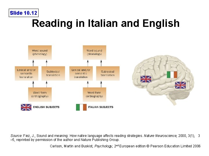 Slide 10. 12 Reading in Italian and English Source: Fiez, J. , Sound and