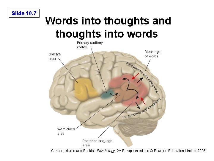 Slide 10. 7 Words into thoughts and thoughts into words Carlson, Martin and Buskist,