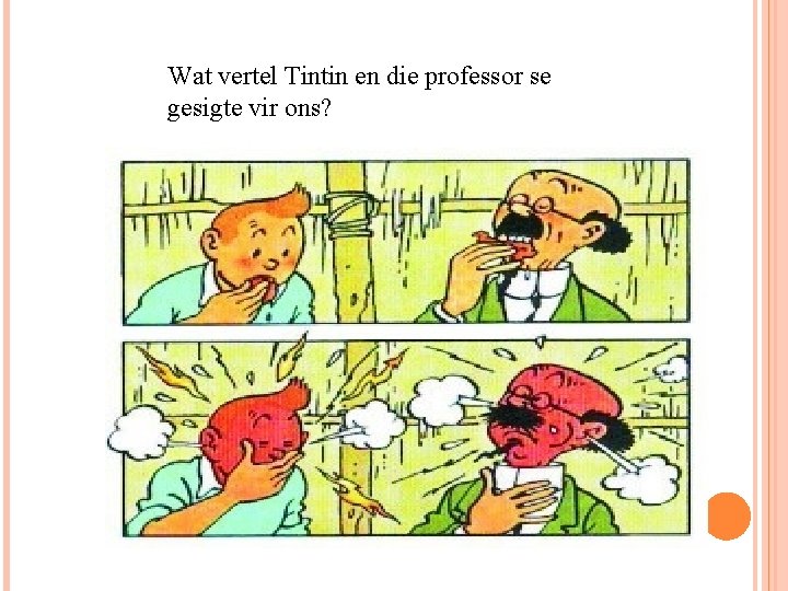 Wat vertel Tintin en die professor se gesigte vir ons? 