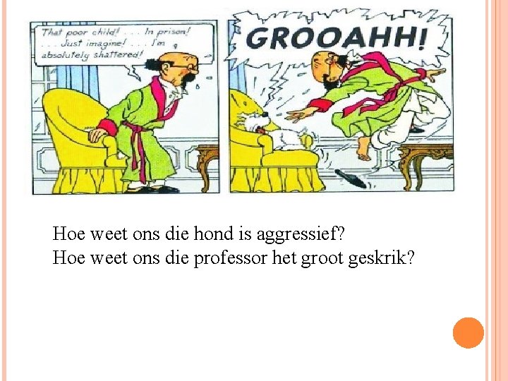 Hoe weet ons die hond is aggressief? Hoe weet ons die professor het groot