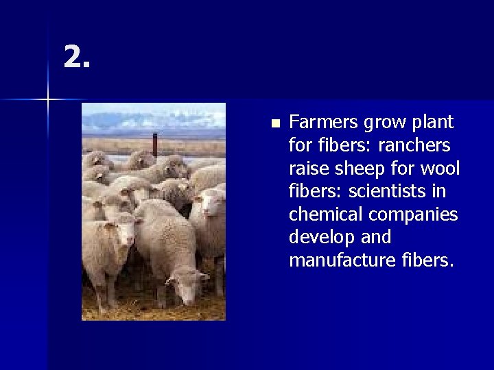 2. n Farmers grow plant for fibers: ranchers raise sheep for wool fibers: scientists