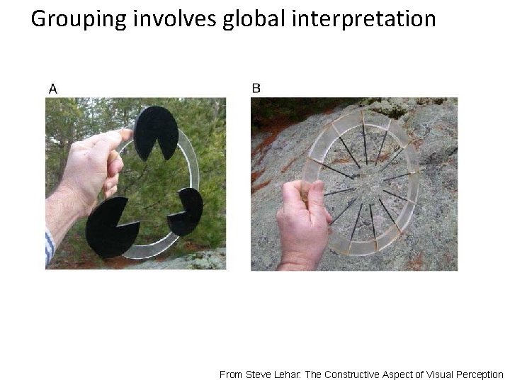 Grouping involves global interpretation From Steve Lehar: The Constructive Aspect of Visual Perception 