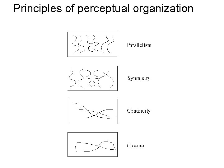 Principles of perceptual organization 