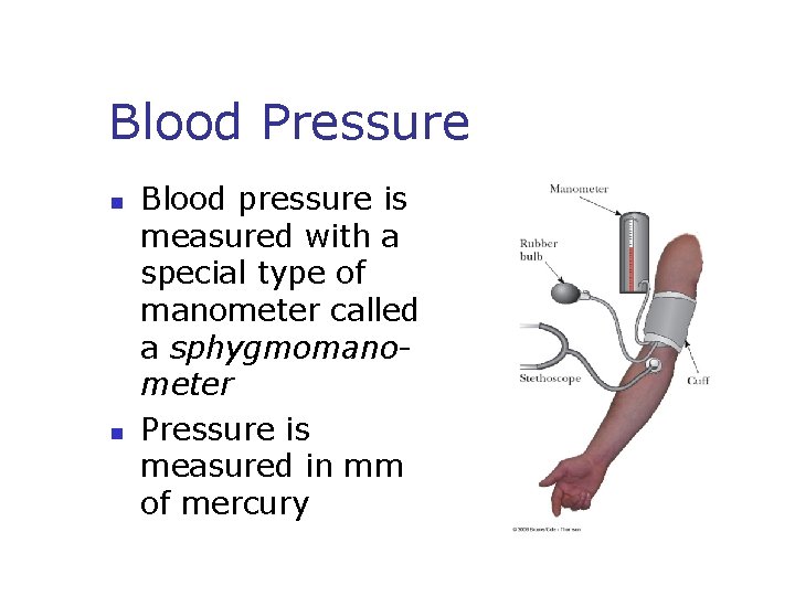Blood Pressure n n Blood pressure is measured with a special type of manometer