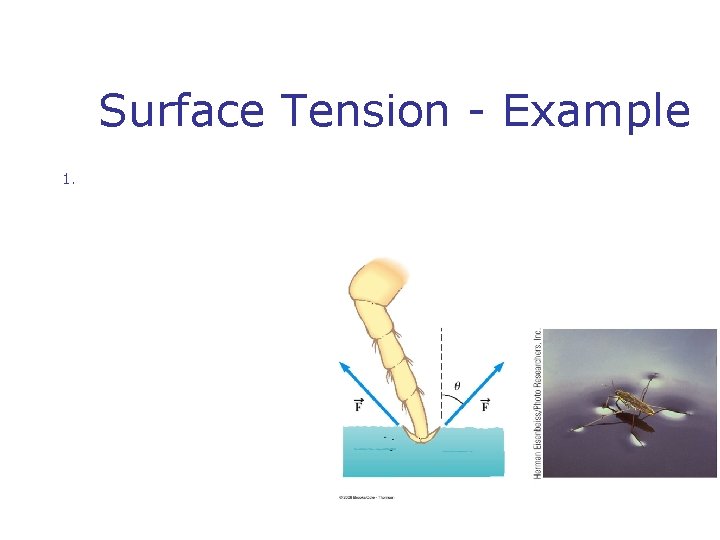 Surface Tension - Example 1. 