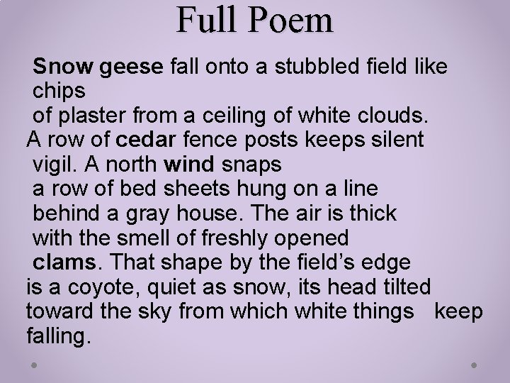 Full Poem Snow geese fall onto a stubbled field like chips of plaster from