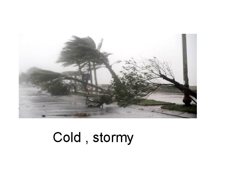 Cold , stormy 