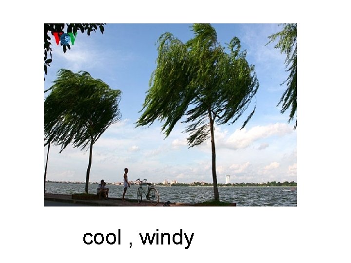 cool , windy 