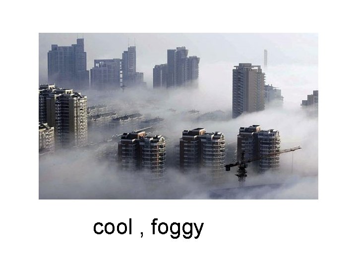 cool , foggy 