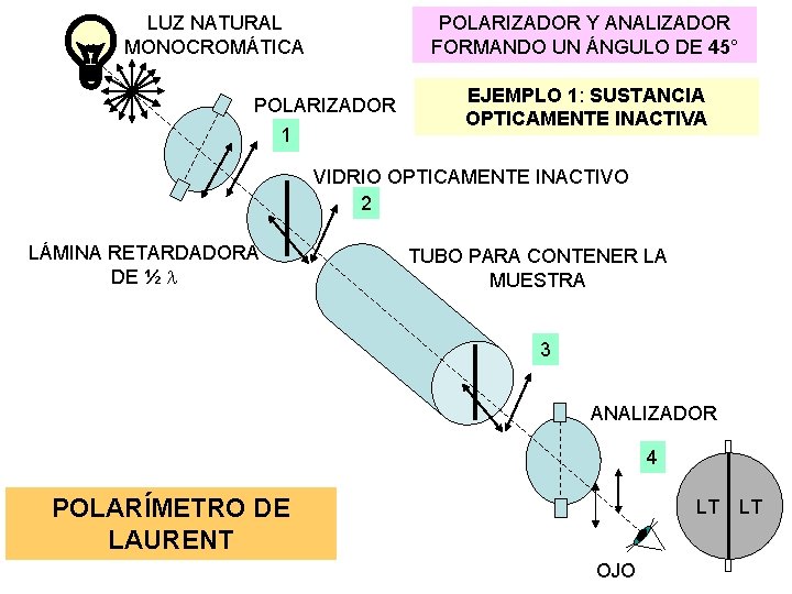 LUZ NATURAL MONOCROMÁTICA POLARIZADOR Y ANALIZADOR FORMANDO UN ÁNGULO DE 45° POLARIZADOR 1 EJEMPLO