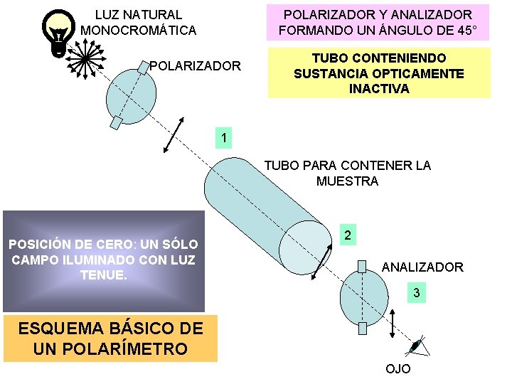 LUZ NATURAL MONOCROMÁTICA POLARIZADOR Y ANALIZADOR FORMANDO UN ÁNGULO DE 45° POLARIZADOR TUBO CONTENIENDO