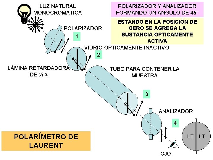 LUZ NATURAL MONOCROMÁTICA POLARIZADOR Y ANALIZADOR FORMANDO UN ÁNGULO DE 45° ESTANDO EN LA