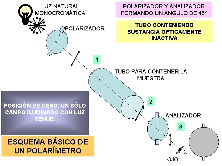 LUZ NATURAL MONOCROMÁTICA POLARIZADOR Y ANALIZADOR FORMANDO UN ÁNGULO DE 45° POLARIZADOR TUBO CONTENIENDO