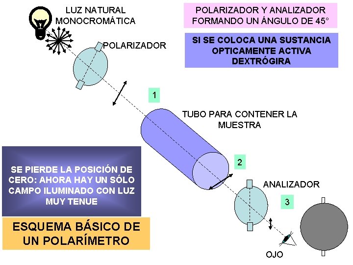 LUZ NATURAL MONOCROMÁTICA POLARIZADOR Y ANALIZADOR FORMANDO UN ÁNGULO DE 45° POLARIZADOR SI SE