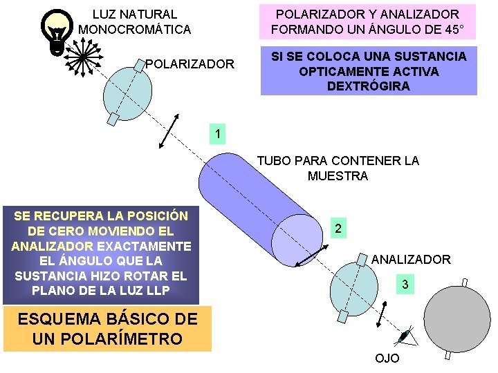 LUZ NATURAL MONOCROMÁTICA POLARIZADOR Y ANALIZADOR FORMANDO UN ÁNGULO DE 45° POLARIZADOR SI SE