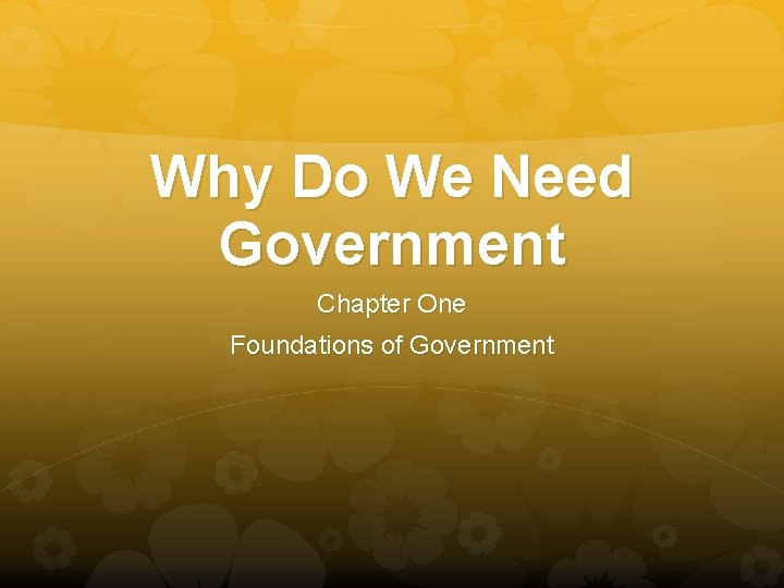 Why Do We Need Government Chapter One Foundations of Government 