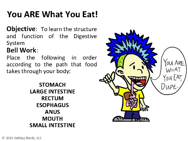 You ARE What You Eat! Objective: To learn the structure and function of the