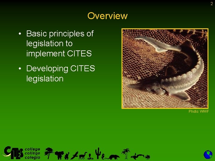 2 Overview • Basic principles of legislation to implement CITES • Developing CITES legislation 2 Overview • Basic principles of legislation to implement CITES • Developing CITES legislation