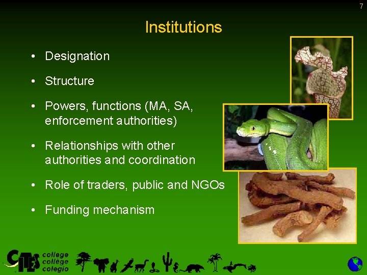 7 Institutions • Designation • Structure • Powers, functions (MA, SA, enforcement authorities) • 7 Institutions • Designation • Structure • Powers, functions (MA, SA, enforcement authorities) •
