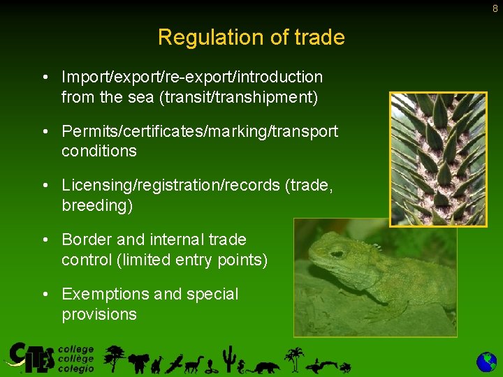 8 Regulation of trade • Import/export/re-export/introduction from the sea (transit/transhipment) • Permits/certificates/marking/transport conditions • 8 Regulation of trade • Import/export/re-export/introduction from the sea (transit/transhipment) • Permits/certificates/marking/transport conditions •
