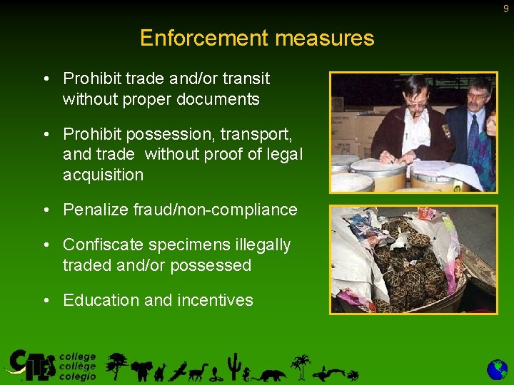 9 Enforcement measures • Prohibit trade and/or transit without proper documents • Prohibit possession, 9 Enforcement measures • Prohibit trade and/or transit without proper documents • Prohibit possession,