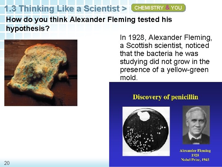 1. 3 Thinking Like a Scientist > CHEMISTRY & YOU How do you think