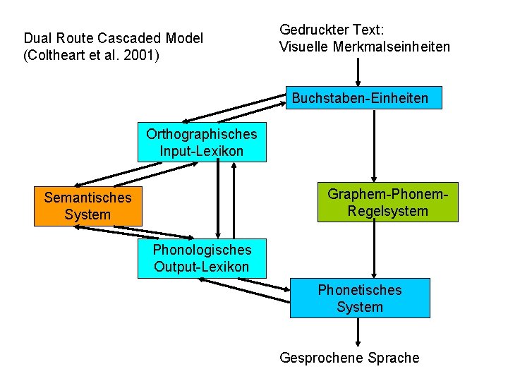 Dual Route Cascaded Model (Coltheart et al. 2001) Gedruckter Text: Visuelle Merkmalseinheiten Buchstaben-Einheiten Orthographisches