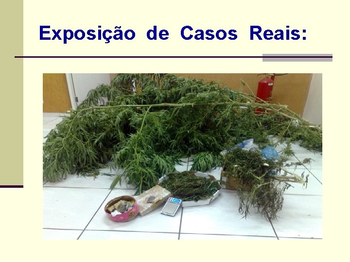 Exposição de Casos Reais: 