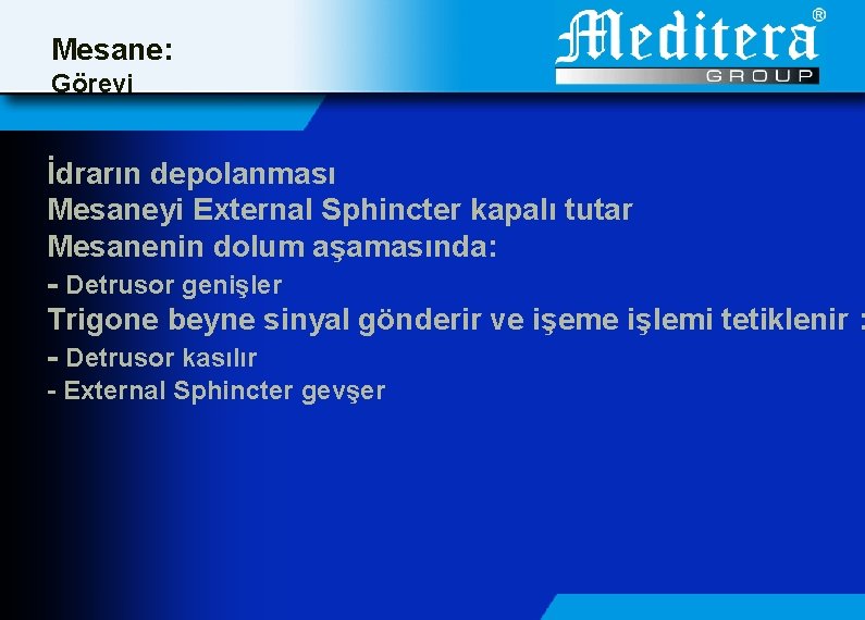 Mesane: Görevi İdrarın depolanması Mesaneyi External Sphincter kapalı tutar Mesanenin dolum aşamasında: - Detrusor