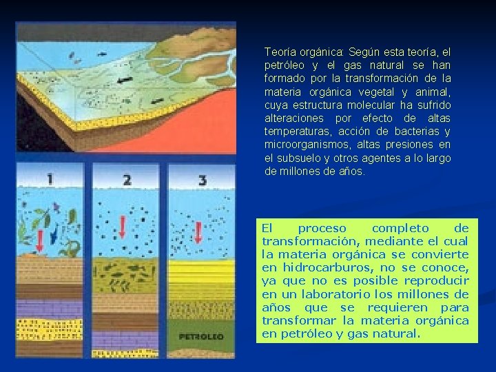 Teoría orgánica: Según esta teoría, el petróleo y el gas natural se han formado Teoría orgánica: Según esta teoría, el petróleo y el gas natural se han formado