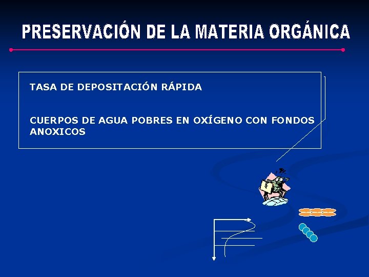 TASA DE DEPOSITACIÓN RÁPIDA CUERPOS DE AGUA POBRES EN OXÍGENO CON FONDOS ANOXICOS TASA DE DEPOSITACIÓN RÁPIDA CUERPOS DE AGUA POBRES EN OXÍGENO CON FONDOS ANOXICOS