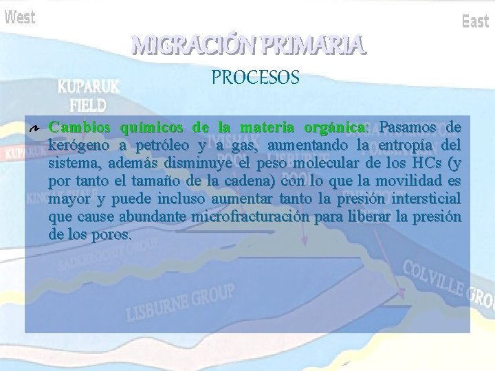 MIGRACIÓN PRIMARIA PROCESOS Cambios químicos de la materia orgánica: Pasamos de kerógeno a petróleo MIGRACIÓN PRIMARIA PROCESOS Cambios químicos de la materia orgánica: Pasamos de kerógeno a petróleo