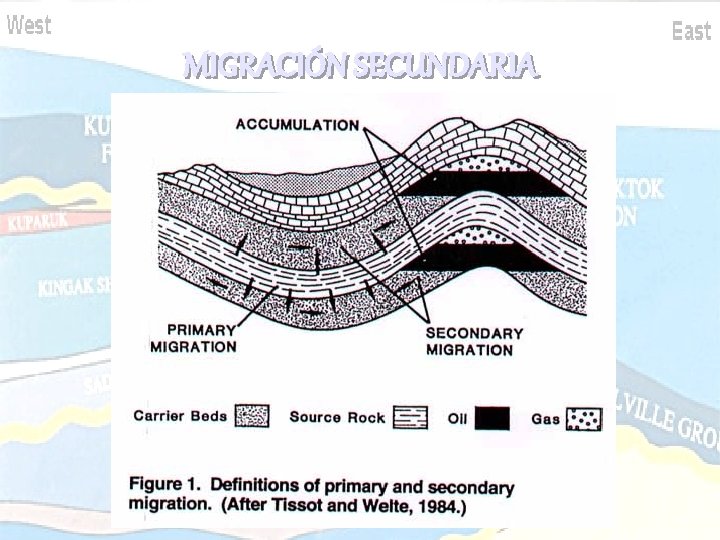 MIGRACIÓN SECUNDARIA MIGRACIÓN SECUNDARIA