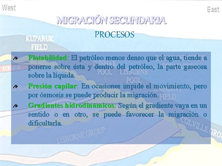 MIGRACIÓN SECUNDARIA PROCESOS Flotabilidad: El petróleo menos denso que el agua, tiende a ponerse MIGRACIÓN SECUNDARIA PROCESOS Flotabilidad: El petróleo menos denso que el agua, tiende a ponerse