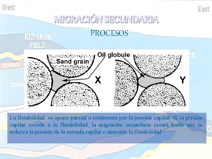 MIGRACIÓN SECUNDARIA PROCESOS La flotabilidad se opone parcial o totalmente por la presión capilar. MIGRACIÓN SECUNDARIA PROCESOS La flotabilidad se opone parcial o totalmente por la presión capilar.