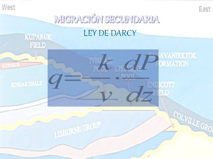 MIGRACIÓN SECUNDARIA LEY DE DARCY MIGRACIÓN SECUNDARIA LEY DE DARCY