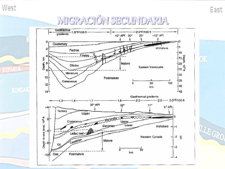 MIGRACIÓN SECUNDARIA MIGRACIÓN SECUNDARIA