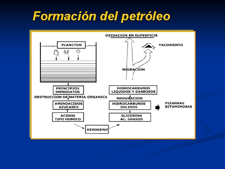 Formación del petróleo Formación del petróleo
