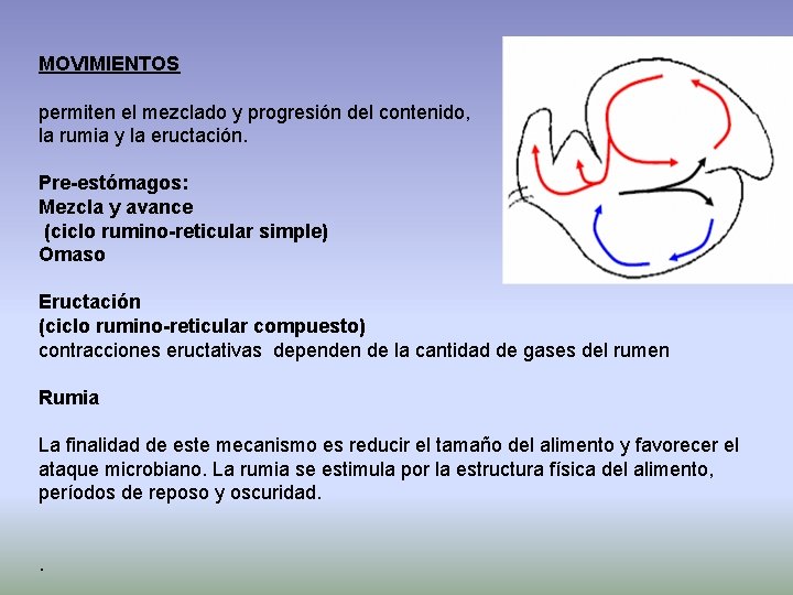 MOVIMIENTOS permiten el mezclado y progresión del contenido, la rumia y la eructación. Pre-estómagos: