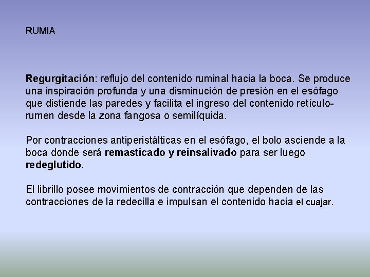 RUMIA Regurgitación: reflujo del contenido ruminal hacia la boca. Se produce una inspiración profunda