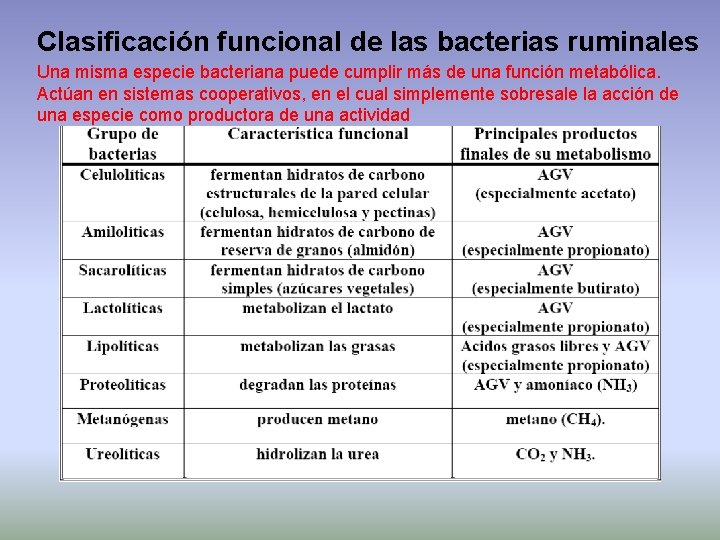 Clasificación funcional de las bacterias ruminales Una misma especie bacteriana puede cumplir más de