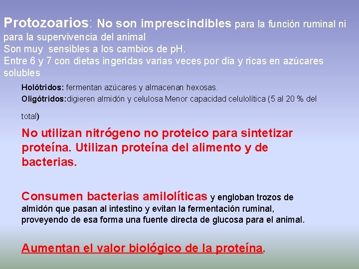 Protozoarios: No son imprescindibles para la función ruminal ni para la supervivencia del animal