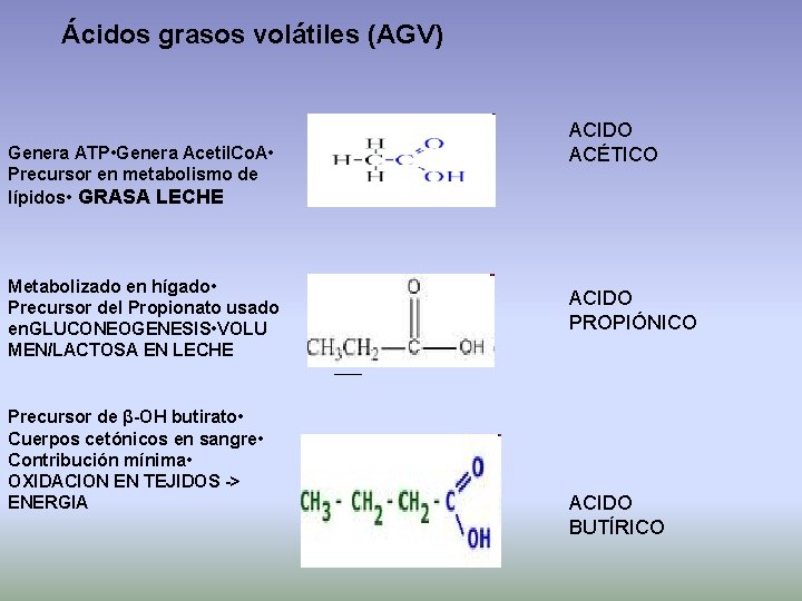 Ácidos grasos volátiles (AGV) Genera ATP • Genera Acetil. Co. A • Precursor en